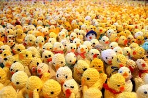 Across Knitted chicks for Francis House