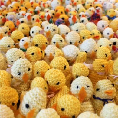 Hundreds of knitted chicks