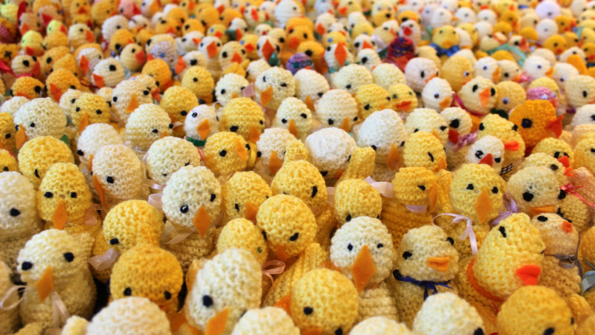 Hundreds of knitted chicks