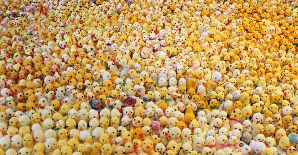 Thousands of knitted yellow chicks
