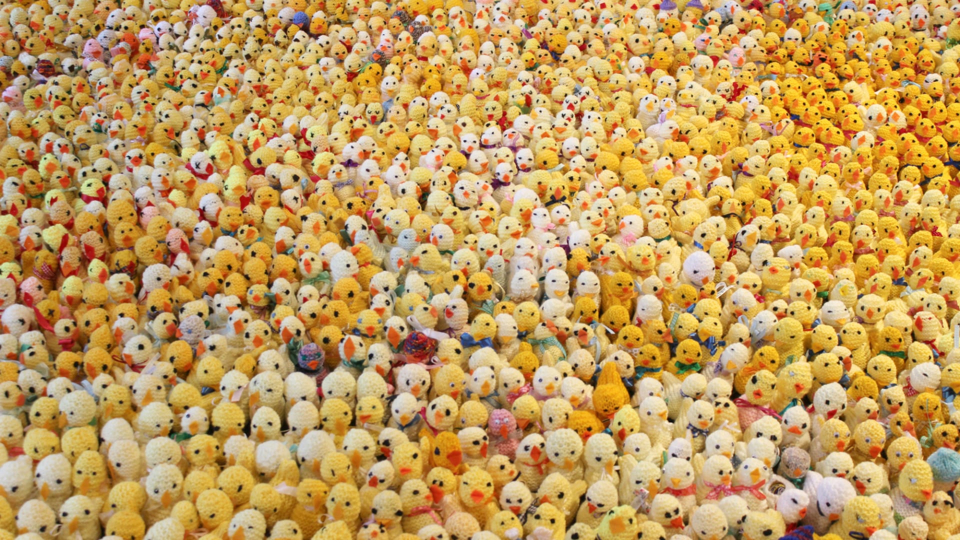 Thousands of knitted yellow chicks