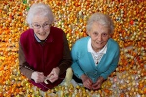 Two ladies knitting chicks
