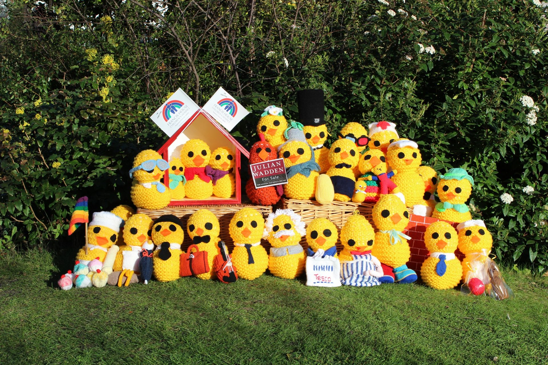 Row of Francis House knitted chicks