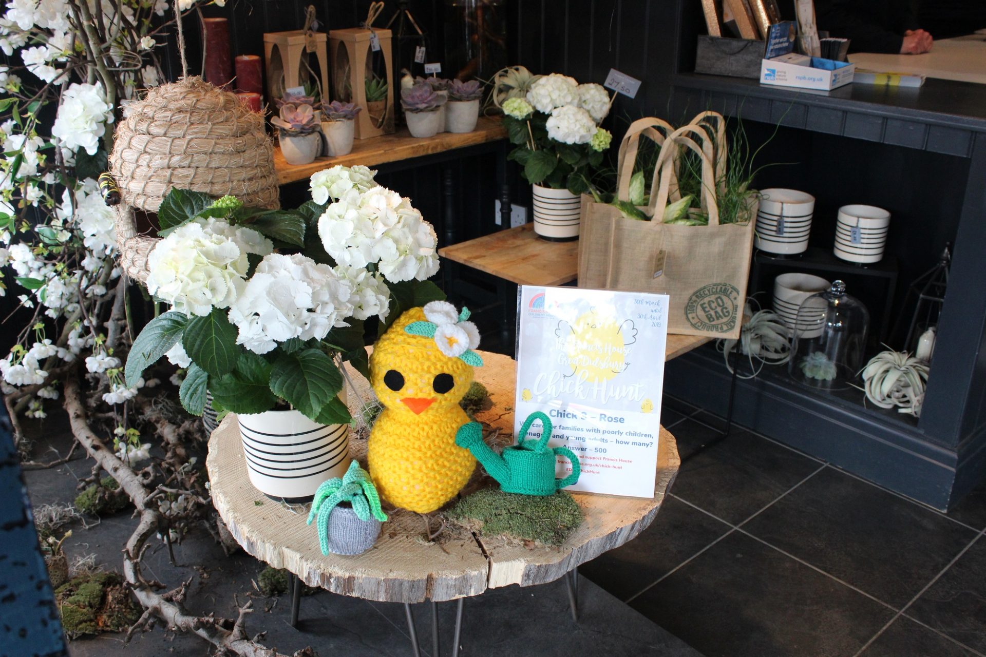 Chick in flower shop.