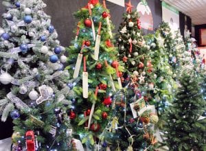 Christmas trees at the Francis House festival of trees