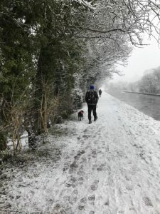 Man and dog wander down a snowy canal path