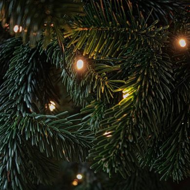 Close up Christmas tree with white lights