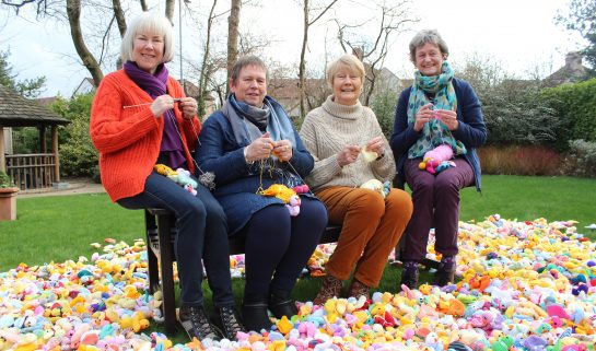 Didsbury WI knitting chicks for Francis House