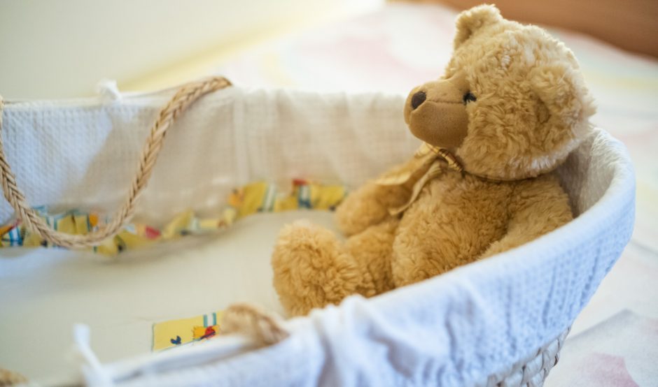 Moses basket with teddy bear