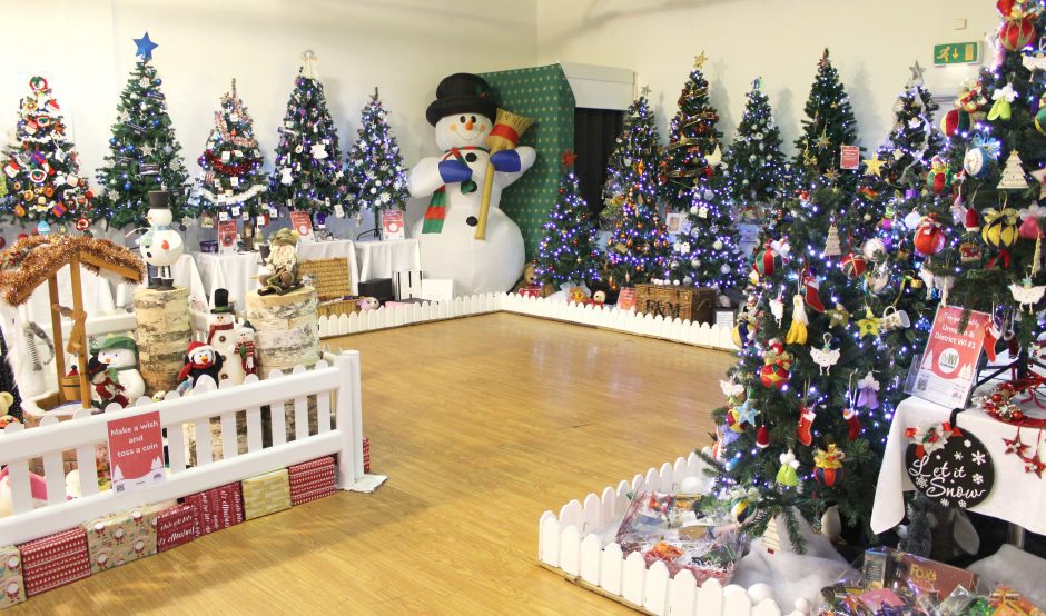 Display of Christmas trees in a shop