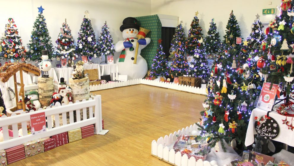 Display of Christmas trees in a shop