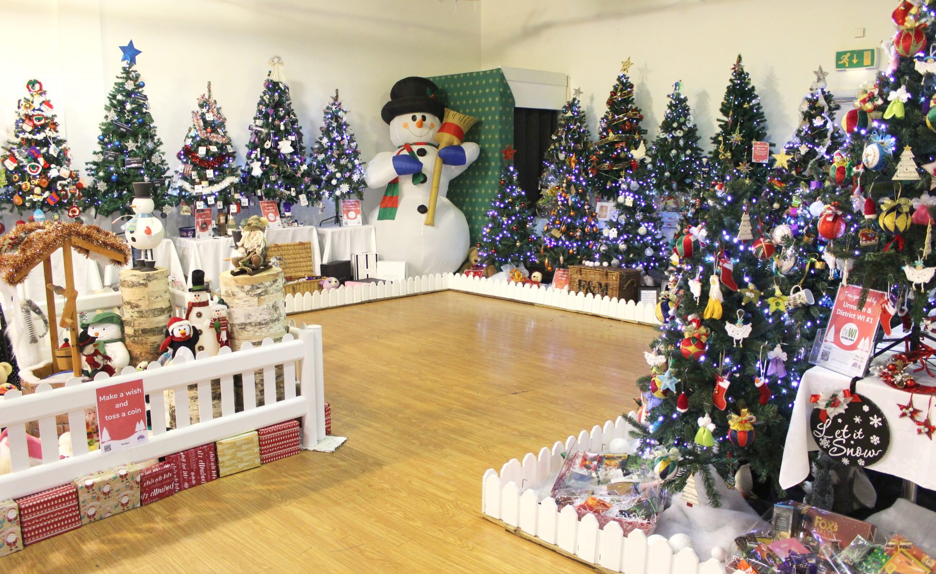 Display of Christmas trees in a shop