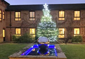 Christmas tree lit up with white lights stood behind a fountain with blue lights in front of a building with orange lit windows