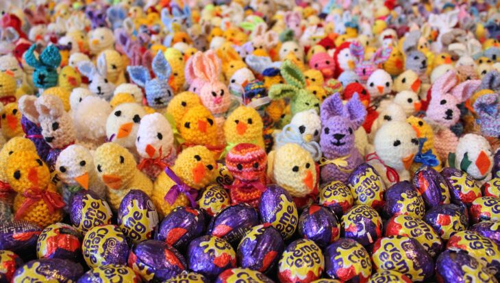 Rows of knitted chicks in front of rows of chocolate creme eggs