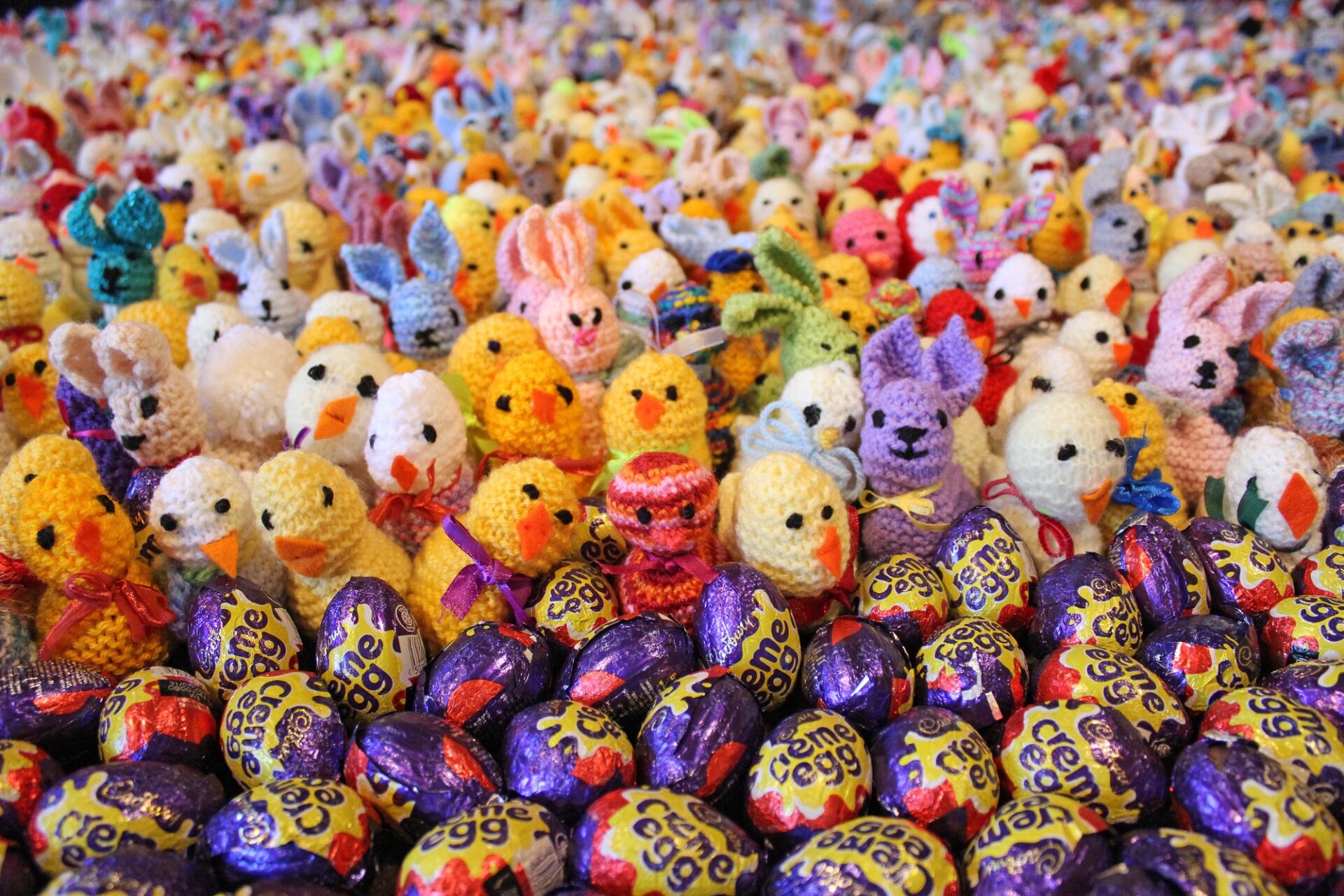 Rows of knitted chicks in front of rows of chocolate creme eggs