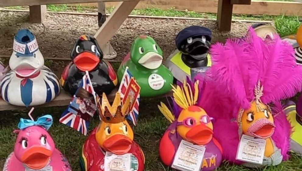 Row of large plastic ducks dressed in brightly coloured costumes with race numbers pinned on the front
