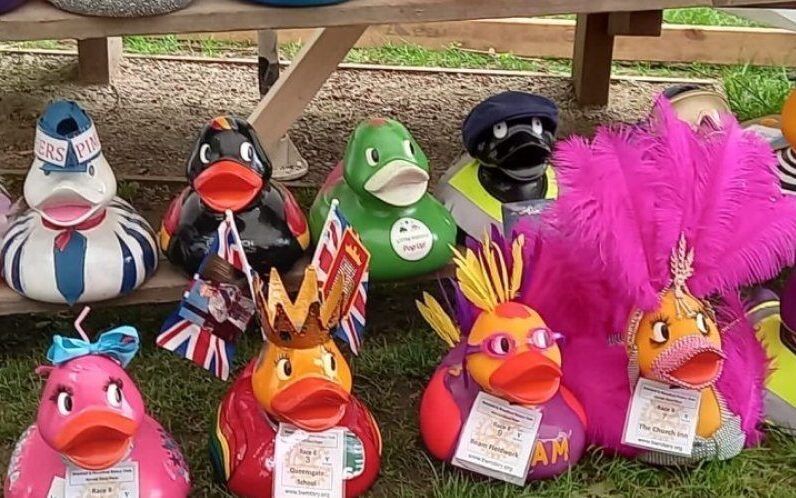 Row of large plastic ducks dressed in brightly coloured costumes with race numbers pinned on the front