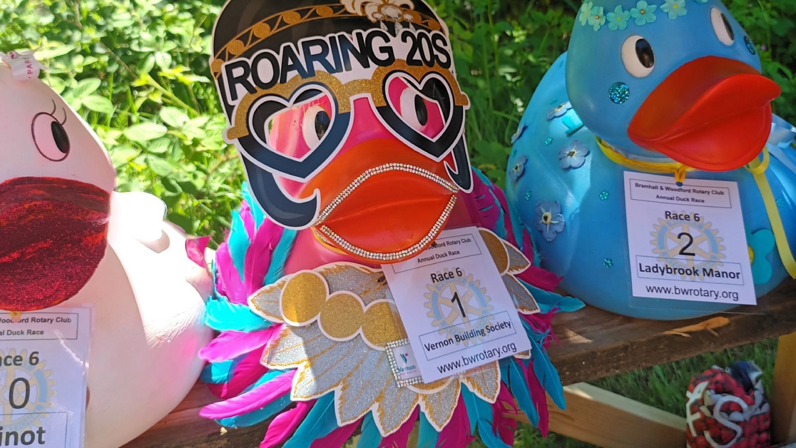 Three large plastic ducks in a row dressed in brightly coloured costumes with race numbers pinned to on the front