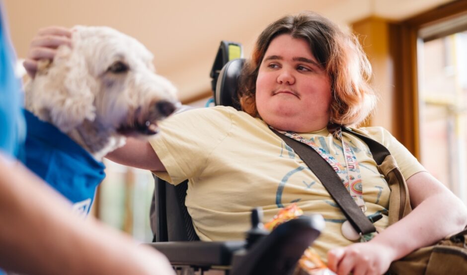 Young person wearing a yellow t-shirt sat in a wheelchair stroking a therapy dog