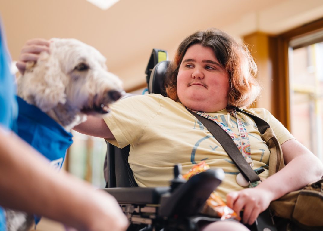 Young person wearing a yellow t-shirt sat in a wheelchair stroking a therapy dog
