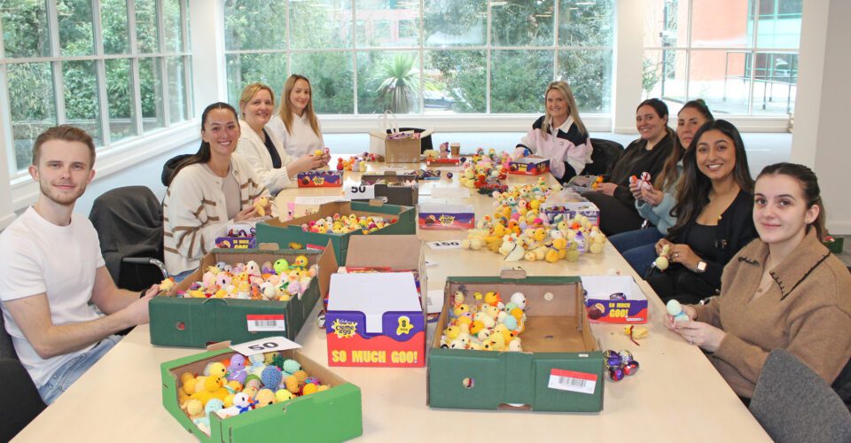 Volunteers sit around a big table full of boxes of chicks and chocolate eggs